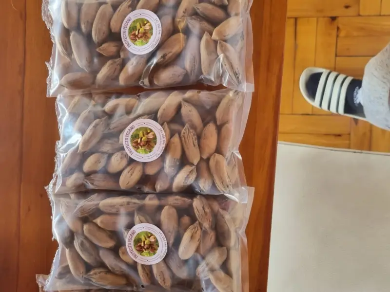 Bolsas de pecanas con cáscara del fundo Don Pedro