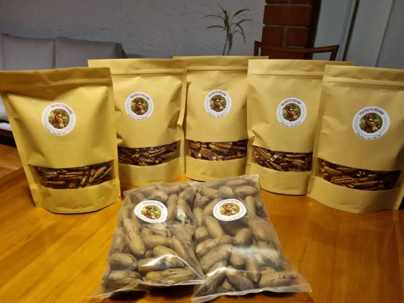 Pecanas peladas y con cáscara, una al lado de la otra